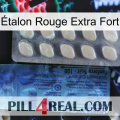 Étalon Rouge Extra Fort 34